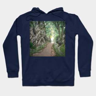 Mountain path Hoodie